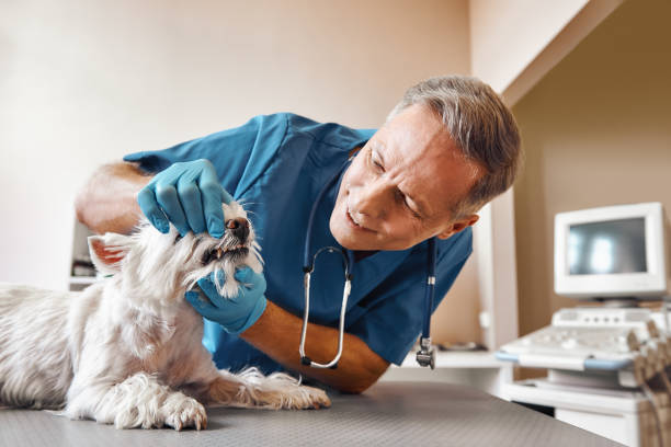 Best Same-Day Emergency Dental Services in Murray, KY
